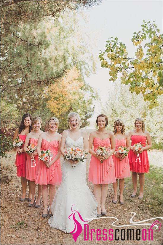 Rustic Bridesmaid Dress Chic Strapless C Gown Blush Pink Chiffon Rustic Bridesmaid Dress Chic Strapless C Gown Blush Pink Chiffon Knee Length Dresses For Wedding